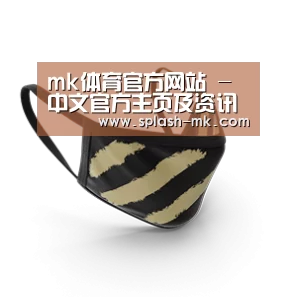 成人布口罩