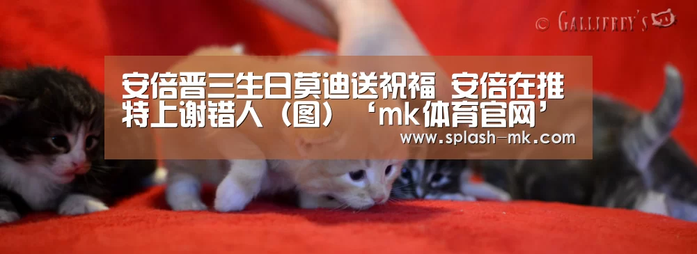 安倍晋三生日莫迪送祝福 安倍在推特上谢错人(图)‘mk体育官网’(图2) mk体育入口
