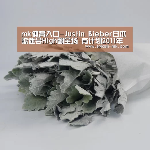 mk体育入口-Justin Bieber日本歌迷会High翻